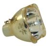Philips UHP Beamerlampe f. BenQ 5J.J2N05.001 ohne Gehuse 5JJ2N05001