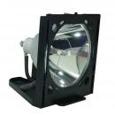 EcoLAP - Boxlight BOX6000-930 Ersatzlampe