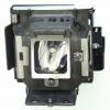 EcoLAP - BenQ 5J.Y1605.001 Ersatzlampe / Modul 5JY1605001