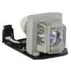 HyBrid UHP - Optoma SP.8VC01GC01 - Philips Lampe mit Gehuse BL-FU190E