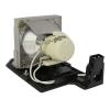 HyBrid UHP - Optoma SP.8VC01GC01 - Philips Lampe mit Gehuse BL-FU190E