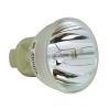 Philips UHP Beamerlampe f. InFocus SP-LAMP-100 ohne Gehuse SPLAMP100