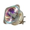 Philips UHP Beamerlampe f. InFocus SP-LAMP-098 ohne Gehuse SPLAMP098