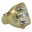 RICOH 308930 - Philips UHP Projektorlampe