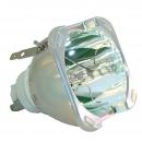 Barco R9801277 - Philips UHP Projektorlampe