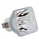 Phoenix SHP52 - Phoenix SHP Projektorlampe