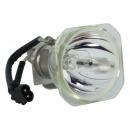 Sharp AN-XR20L2 - Phoenix SHP Projektorlampe