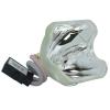 Phoenix SHP Beamerlampe f. Sanyo POA-LMP122 ohne Gehuse 610-340-0341