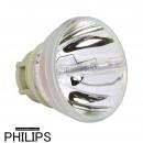 Philips UHP 240-170/0.8 E20.7