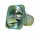 Philips UHP Beamerlampe f. RICOH 513744 ohne Gehuse LAMP TYPE27