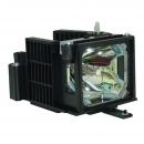 EcoLAP - Philips LCA3116 Ersatzlampe