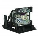 EcoLAP - Boxlight BOX2001-930 Ersatzlampe