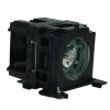 EcoLAP - Liesegang ZU1208-04-4010 Ersatzlampe