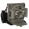 EcoLAP - BenQ 5J.07E01.001 Ersatzlampe / Modul 5J07E01001