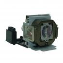 EcoLAP - BenQ 5J.J2A01.001 Ersatzlampe