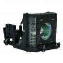 EcoLAP - Sharp ANZ200LP/1 Ersatzlampe