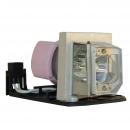 EcoLAP - Optoma SP.8NV01GC01 Ersatzlampe