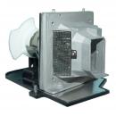 EcoLAP - PLUS LU6200 Ersatzlampe