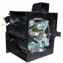 EcoLAP - Barco R9841761 Ersatzlampe