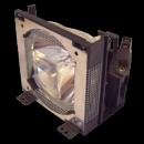 EcoLAP - Philips LCA3112 Ersatzlampe