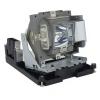 EcoLAP - BenQ 5J.J0W05.001 Ersatzlampe / Modul 5JJ0W05001