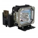 EcoLAP - Compatible Compatible P52 150W/200W 1.0/1.3 DC Ersatzlampe