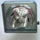 EcoLAP - Dukane 456-130 Ersatzlampe