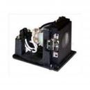 EcoLAP - IIYAMA CC00205001 Ersatzlampe