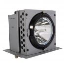 EcoLAP - Mitsubishi S-XL20LAR Ersatzlampe