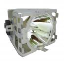 EcoLAP - Polaroid 624944 Ersatzlampe
