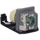 EcoLAP - Optoma SP.8LM01GC01 Ersatzlampe