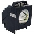 EcoLAP - Barco R9842807 Ersatzlampe