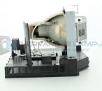 EcoLAP - RICOH 308930 Ersatzlampe