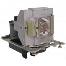 EcoLAP - Digital Projection 111-896A Ersatzlampe