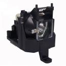 EcoLAP - IBM 73P4954 Ersatzlampe