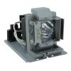 EcoLAP - BenQ 5J.JDT05.001 Ersatzlampe / Modul 5JJDT05001