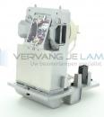 EcoLAP - RICOH 512965 Ersatzlampe