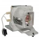 HyBrid UHP - Acer MC.JPC11.002 - Philips Lampe mit Gehuse MCJPC11002