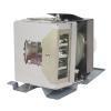 EcoLAP - BenQ 5J.JG705.001 Ersatzlampe / Modul 5JJG705001