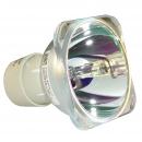 Philips UHP Beamerlampe f. Nec NP30LP ohne Gehuse 100013543