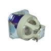 Philips UHP Beamerlampe f. Sony LMP-H280 ohne Gehuse LMPH280
