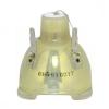 BenQ 5J.JDP05.001 Philips Projector Bare Lamp