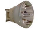 Philips UHP Beamerlampe f. Acer MC.JTA11.001 ohne Gehuse UC.JTA11.001