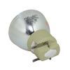 Philips UHP Beamerlampe f. Acer UC.JRN11.001 ohne Gehuse MC.JRN11.002