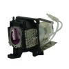 EcoLAP - BenQ CS.5JJ1K.001 Ersatzlampe