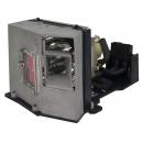 EcoLAP - Acer EC.J1101.001 Ersatzlampe / Modul ECJ1101001