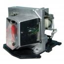 EcoLAP  - RICOH 512984 Ersatzlampe