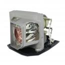 EcoLAP - Optoma SP.8VC01GC01 Ersatzlampe / Modul BL-FU190E