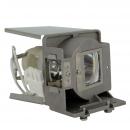 EcoLAP - InFocus SP-LAMP-070 Ersatzlampe / Modul SPLAMP-070