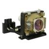 EcoLAP - BenQ 60.J5016.CB1 Ersatzlampe / Modul 60J5016CB1